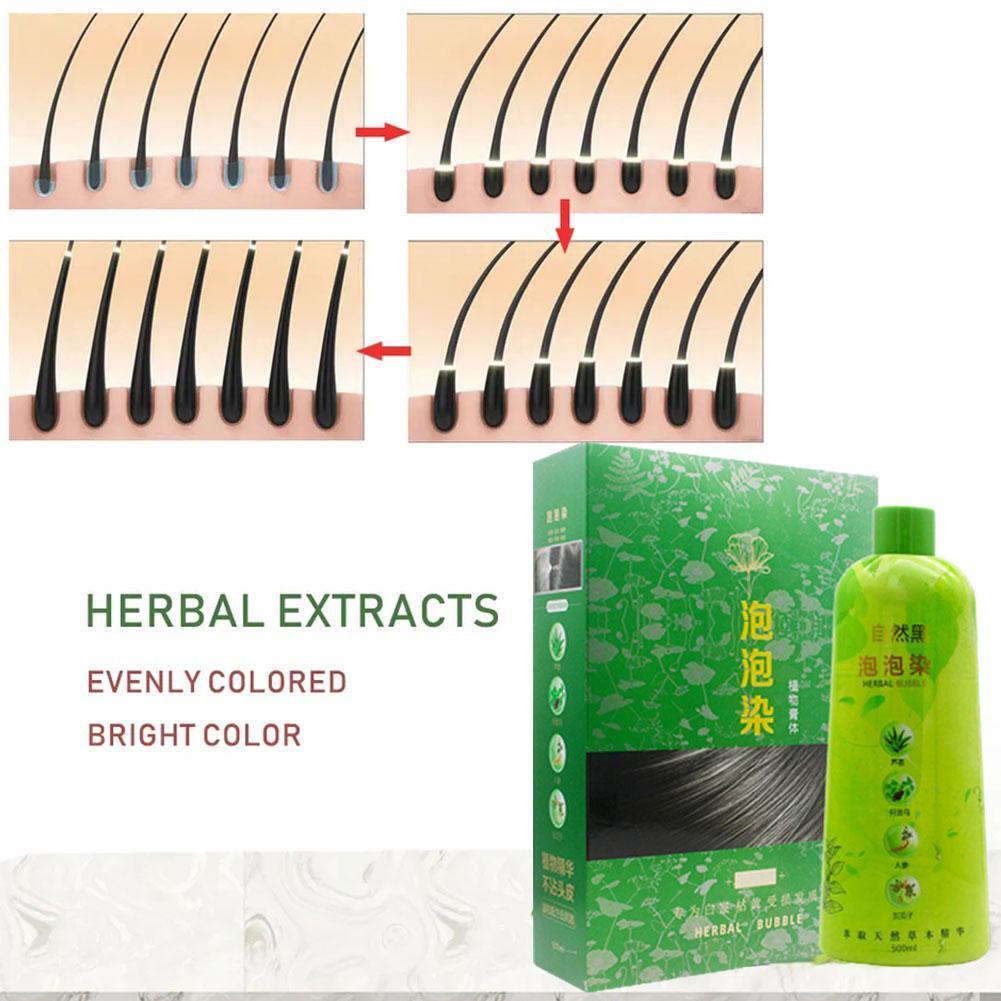 Bimei Silk Bubble Hair Dye One Black One Chestnut Brown Popular Color Herbal Paste