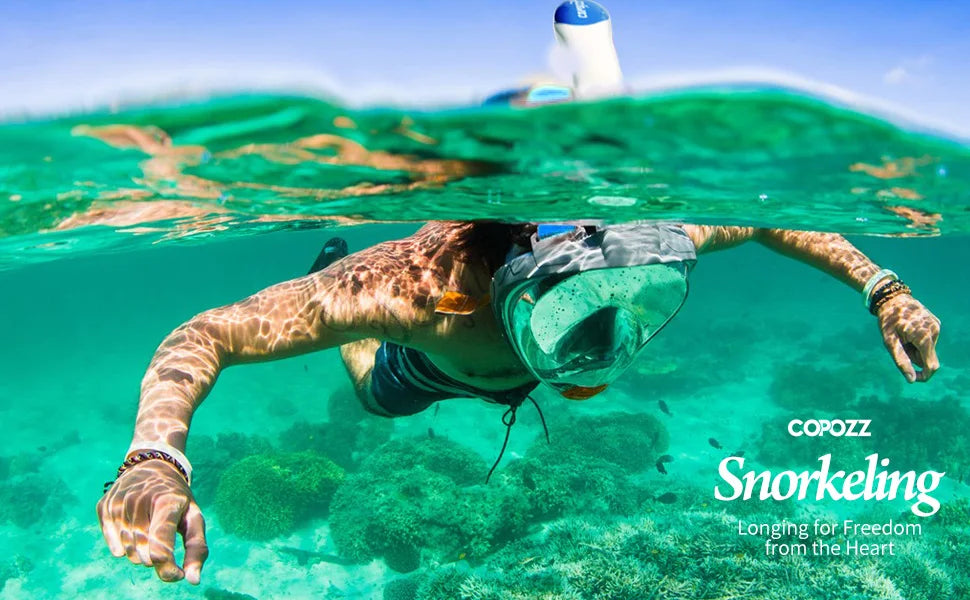 Professional Snorkeling Diving Mask