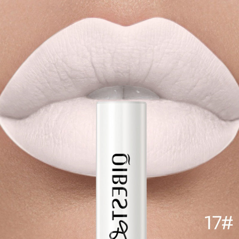 24-color Matte Liquid Lipstick