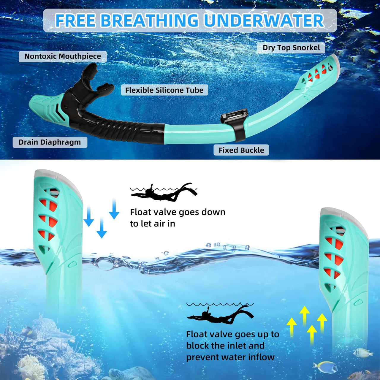 Snorkel Diving Mask