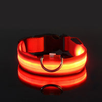 Night Safety Flashing Glow