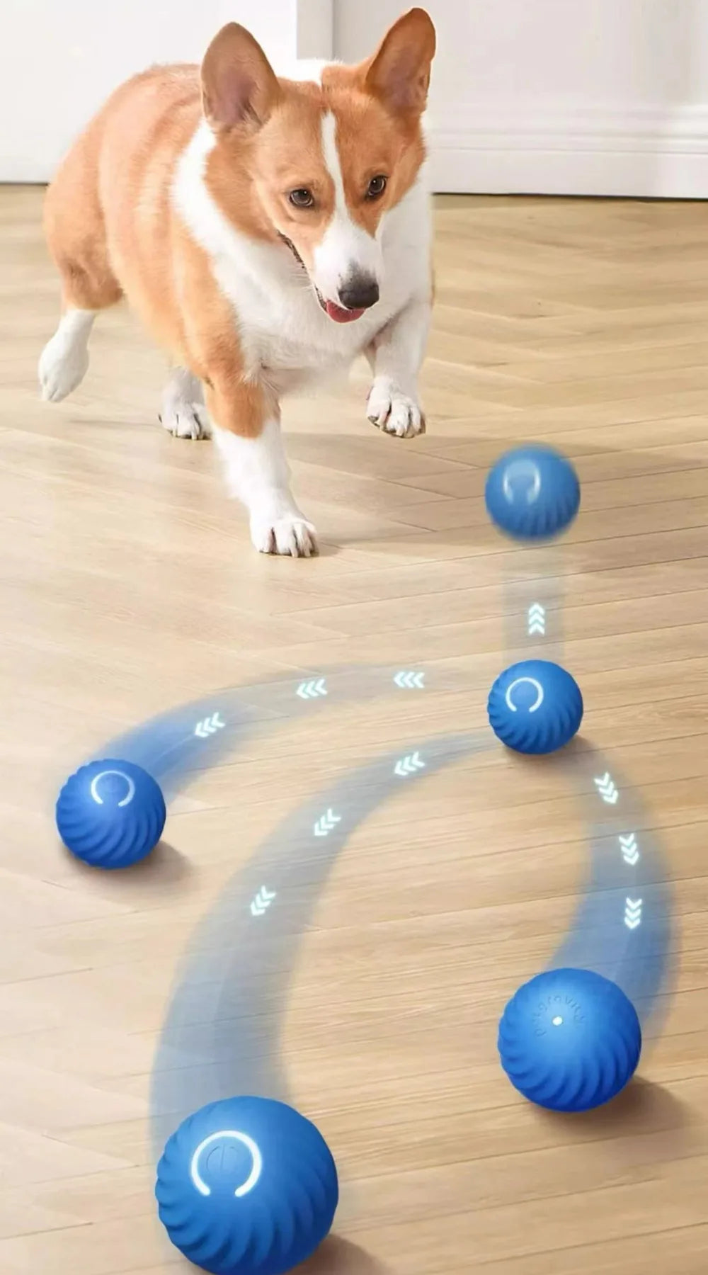 Pet Toy Ball Automatic Moving