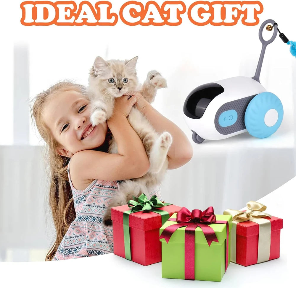 Toy Car for Cats Dogs
