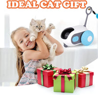 Toy Car for Cats Dogs