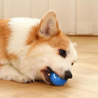 Pet Toy Ball Automatic Moving