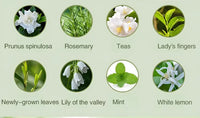 50ML Automatic Home Fragrance