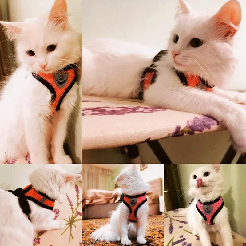 Cat Harness Vest Walking Lead