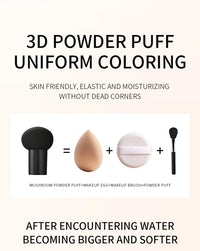 Mushroom Cushion Lightweight Concealer