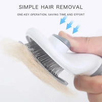 Grooming Tools Pets