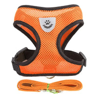 Cat Harness Vest Walking Lead