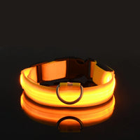 Night Safety Flashing Glow