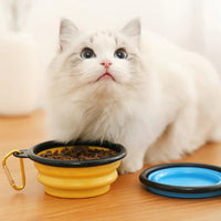 Pet Bowl Portable