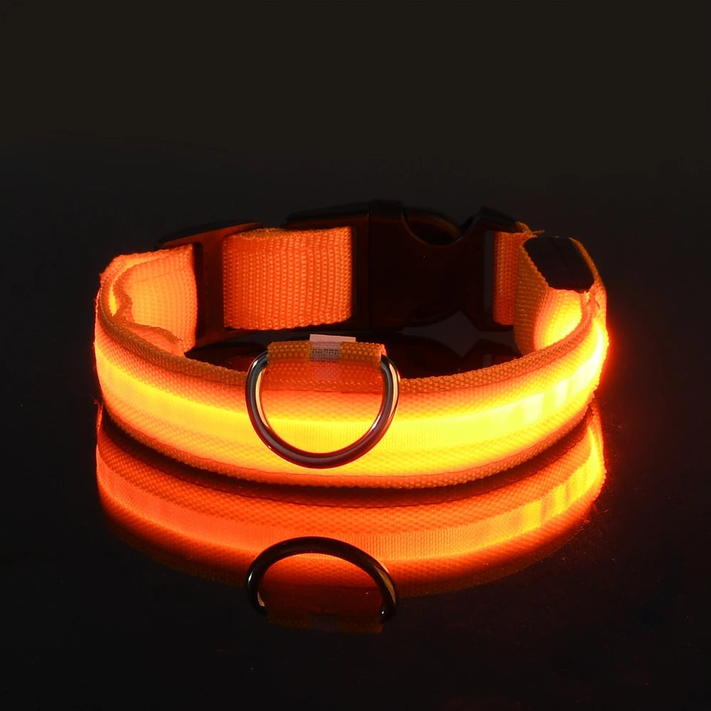 Night Safety Flashing Glow