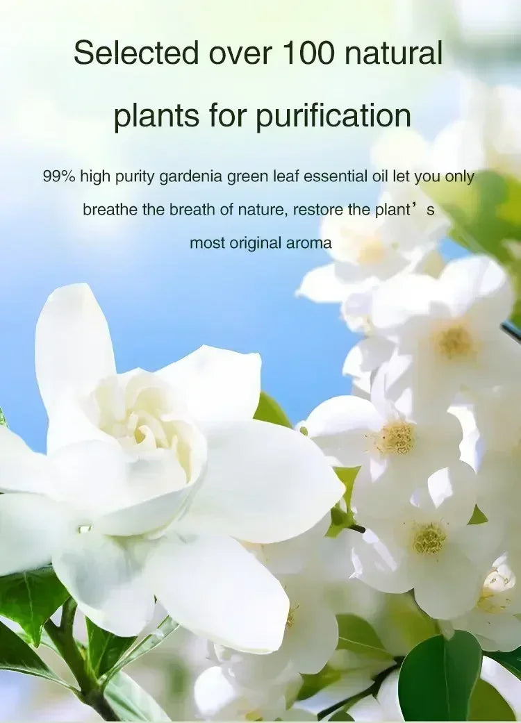 Wireless Wall Hanging Portable Automatic Fragrance