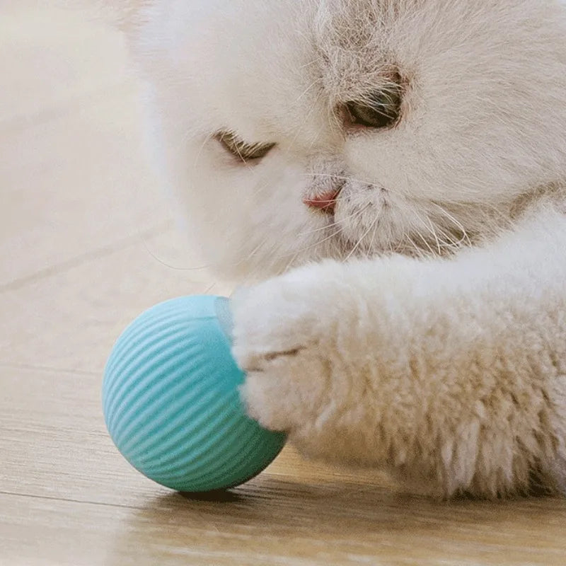 Cat Interactive Ball