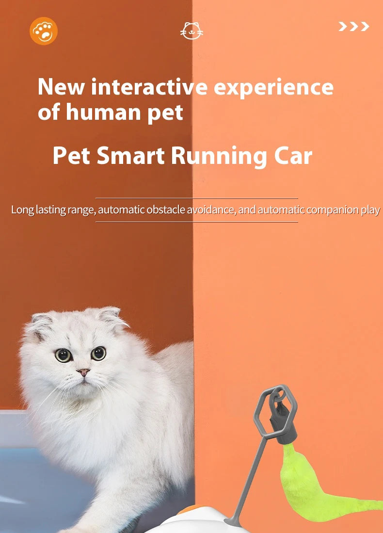 Smart Interactive Cat Toy Car