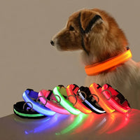 Night Safety Flashing Glow