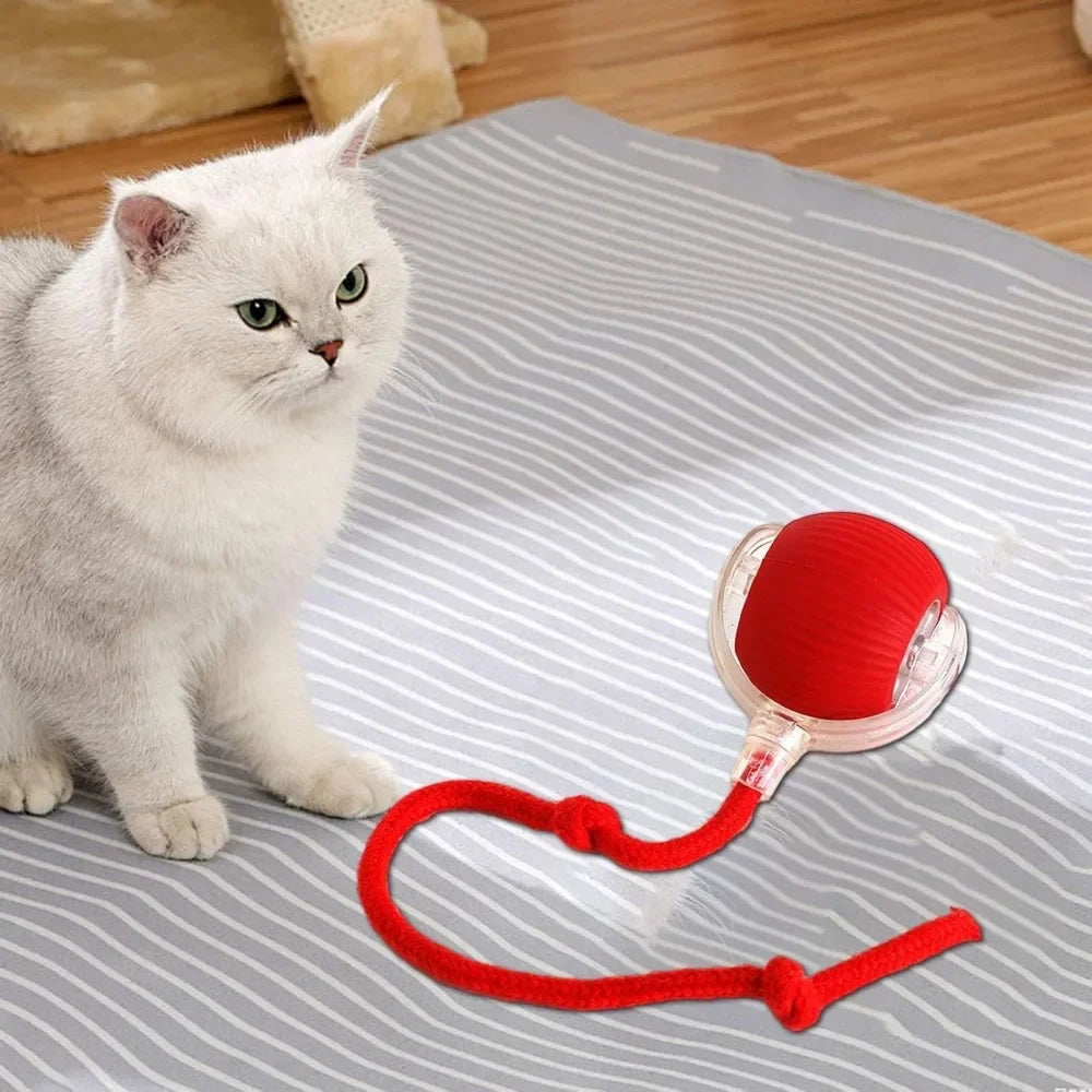 Automatic Rolling Ball