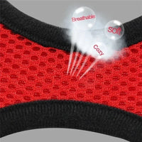 Cat Harness Vest Walking Lead