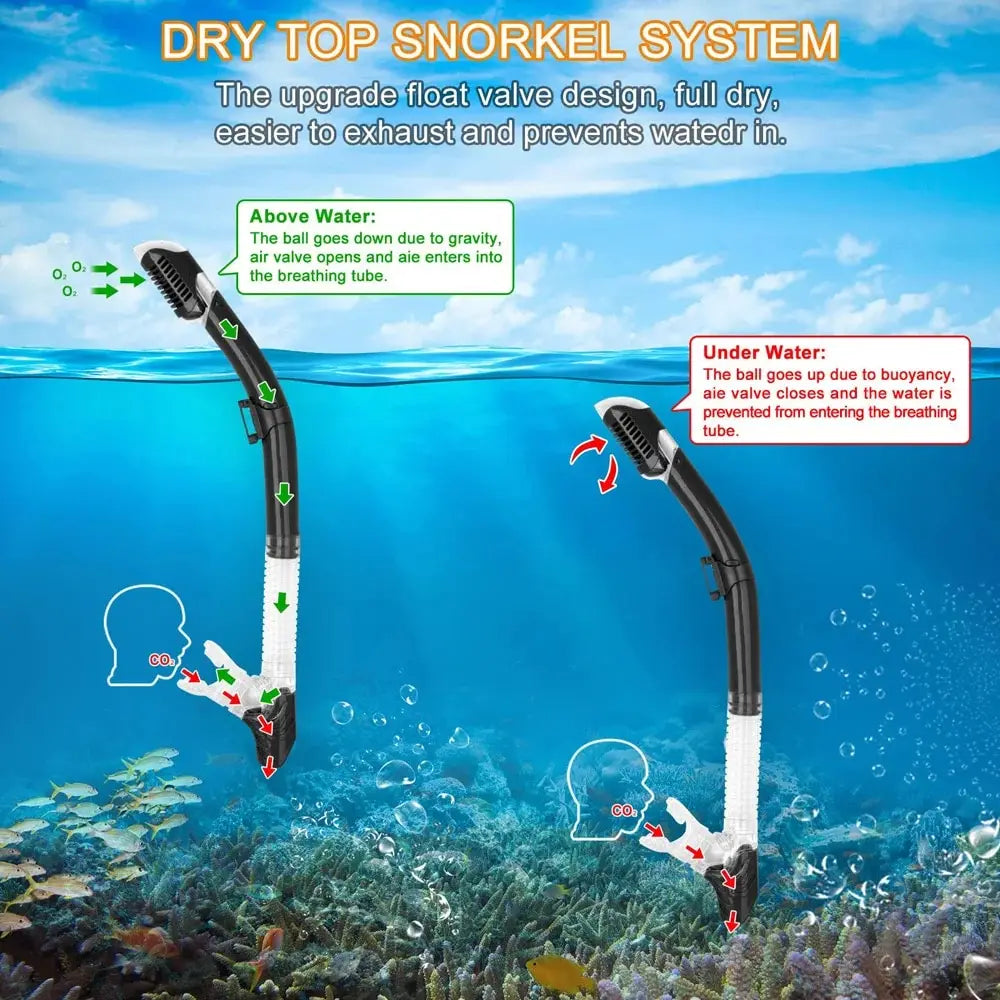 Dry Snorkel Set Diving Mask For Adults