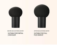 Mushroom Cushion Lightweight Concealer