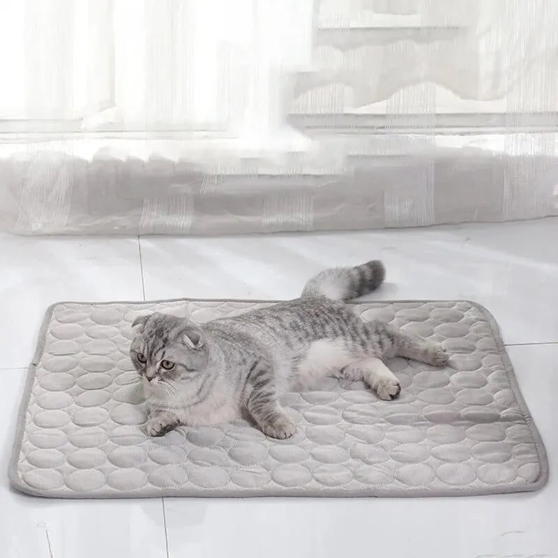 Pad for Small cats dogs Pets Durable Sofa