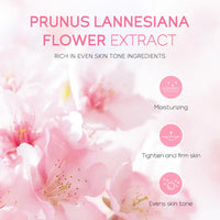 Anti-Aging Toner Serum Cream