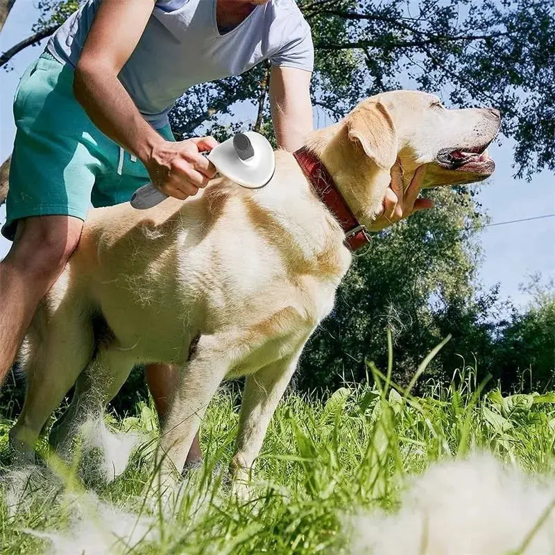 Grooming Tools Pets
