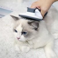 Pet Comb Automatic Hair Removal