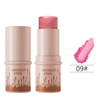 Rouge Cream Modify Concealer Pen