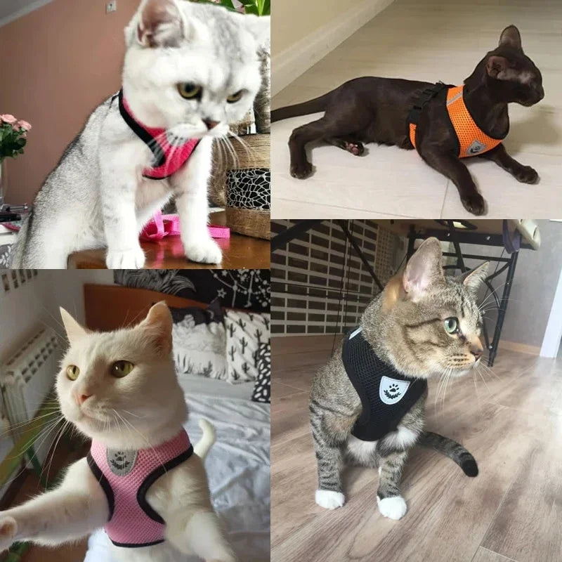 Cat Harness Vest Walking Lead