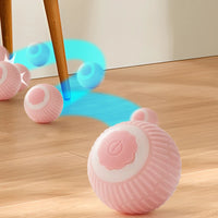 Cat Interactive Ball