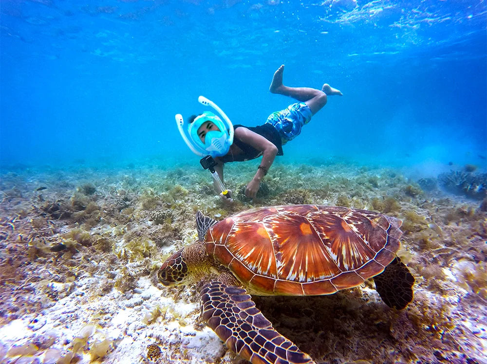 Full Face Snorkel Mask 180°Panoramic k