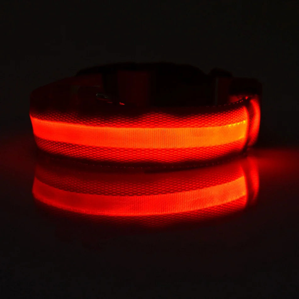 Night Safety Flashing Glow