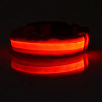 Night Safety Flashing Glow