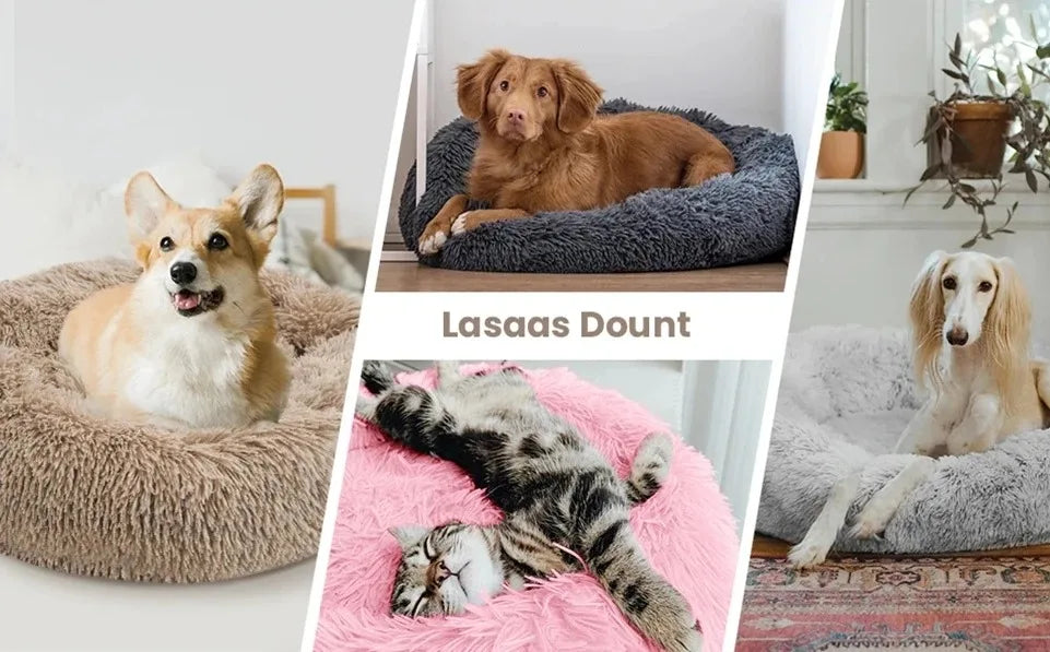 Dog & Cat Bed Warm