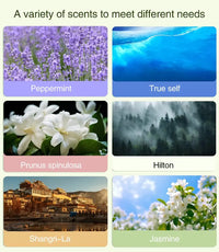 50ML Automatic Home Fragrance