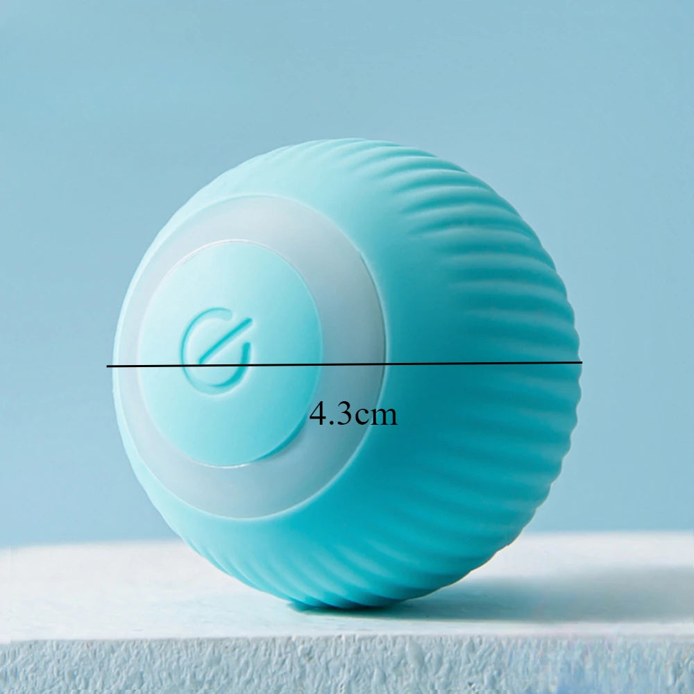 Cat Interactive Ball