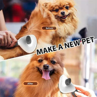 Grooming Tools Pets