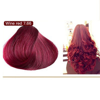 500ml Plant Color Water Hair Dye Cream