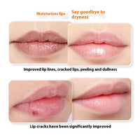 Lip Guard Nourishing Moisturizing Hydrating And Anti-chapping Colorless