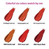 Velvet Matte Discoloration Resistant Glass Lip Lacquer