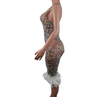 S2bd1ea1584eb427ca1aa604a2b13b8fae