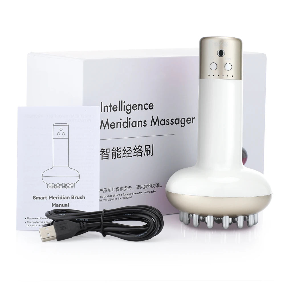 Rechargeable Guasha Massager Body Shaping Heating Meridian Scraping Brush Lymphatic Detoxification Regimen Dredging Fat Burner