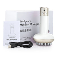 Rechargeable Guasha Massager Body Shaping Heating Meridian Scraping Brush Lymphatic Detoxification Regimen Dredging Fat Burner