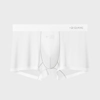 Men's Ice Silk Seamless Mask Underwear